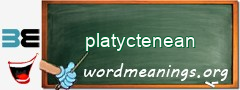 WordMeaning blackboard for platyctenean